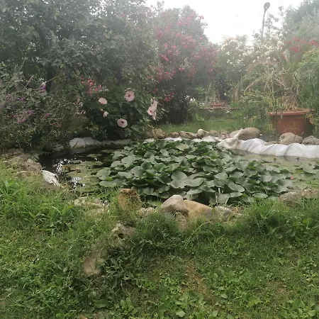Casa Delle Rose Agave San Mauro Pascoli