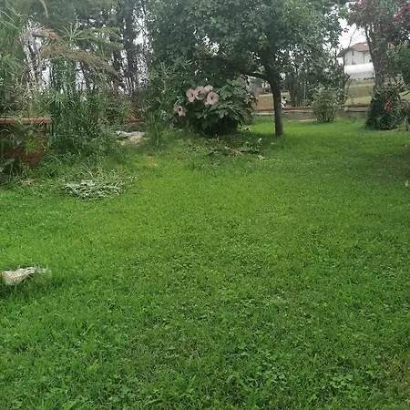 Appartement Casa Delle Rose Agave San Mauro Pascoli