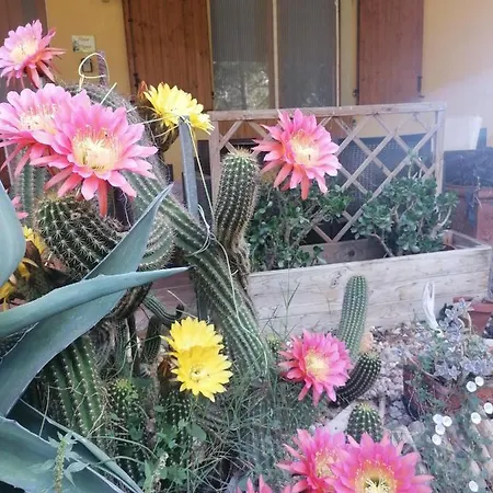 Daire Casa Delle Rose Agave San Mauro Pascoli