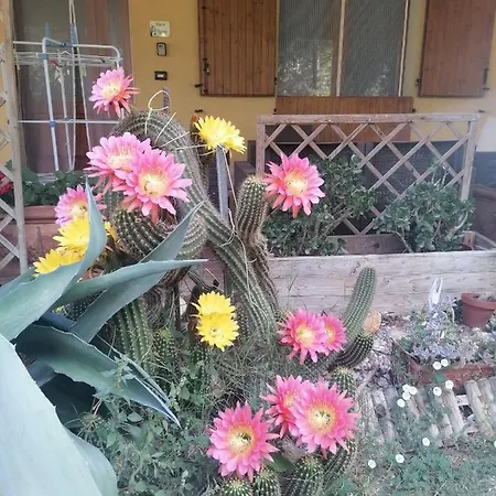 Casa Delle Rose Agave Appartement *